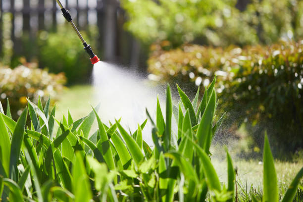 24/7 Emergency Wasp Removal experts in Chatham, IL