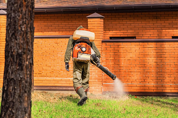Top rated local Wasp Removal specialists in Chatham, IL